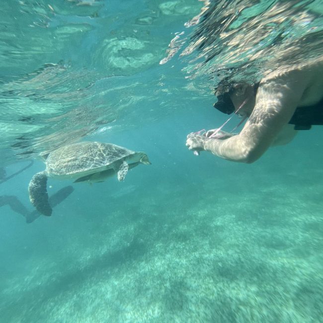 Tortugas03